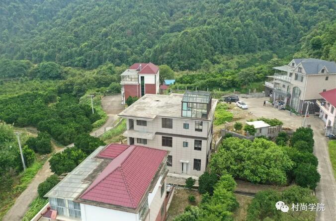 1597392946668600.jpg 1.jpg