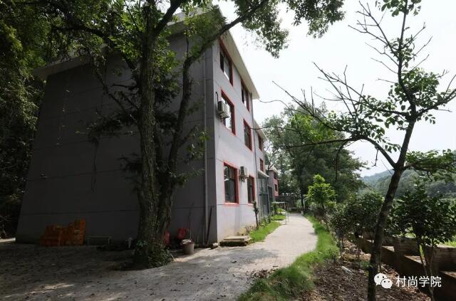 1597393446380852.jpg 15.jpg