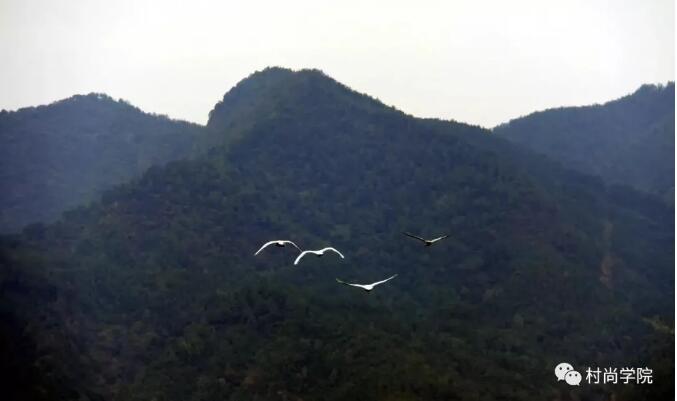 1597393495762292.jpg 2.jpg