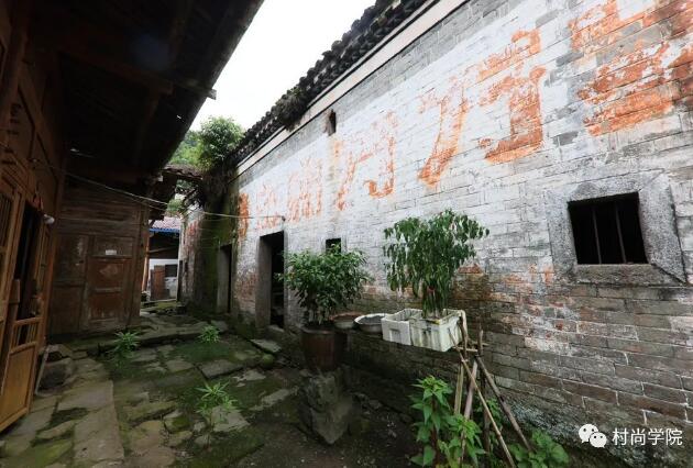 1597393616170602.jpg 8.jpg