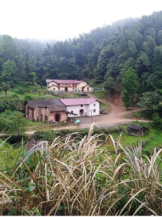 1597393751577557.jpg 51.jpg