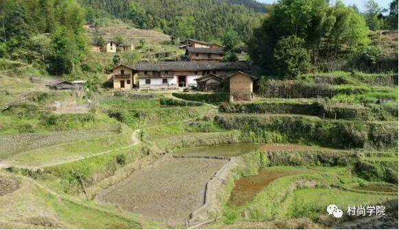 1597394173987806.jpg 2.jpg